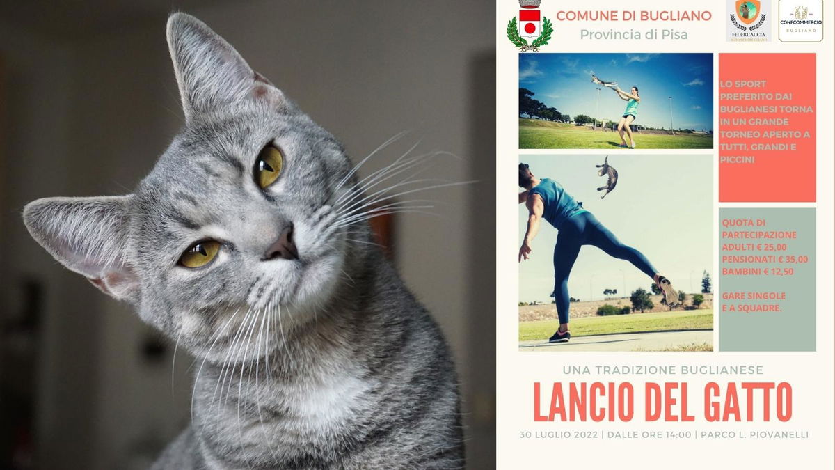 C’è chi si è indignato per il “tradizionale lancio del gatto” del Comune di Bugliano article-post
