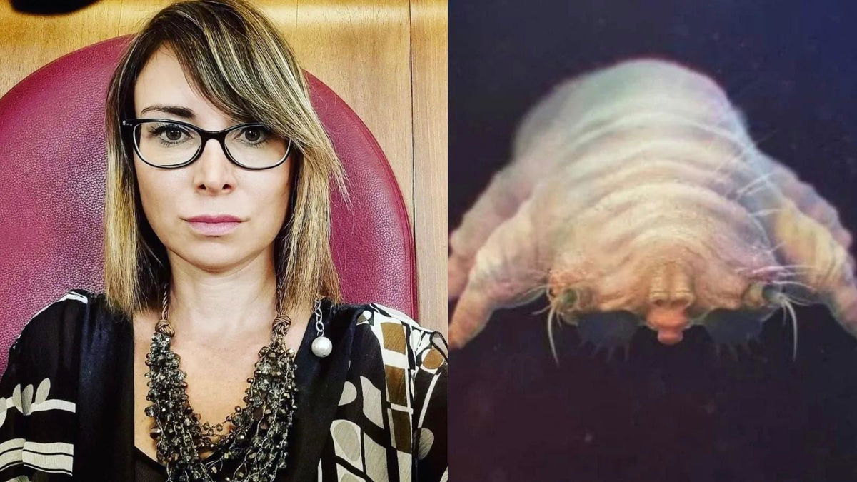 Rachele Mussolini vorrebbe essere un acaro perché dopo 14 giorni “tira le quoia” (sì, con la q) article-post