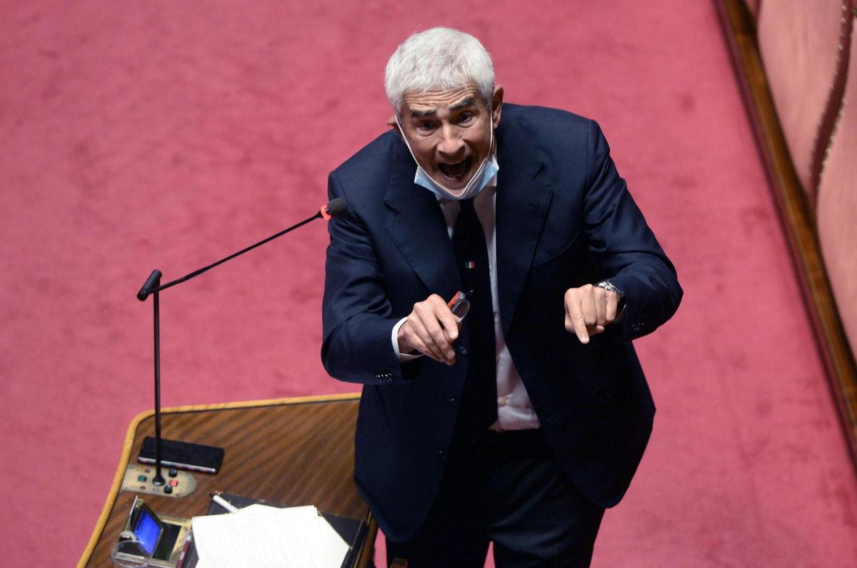 Cos’è la risoluzione di Casini che sarà votata al Senato article-post