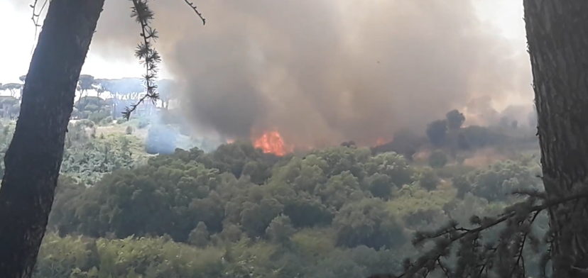 L’incendio a Pineta Sacchetti che minaccia le case a Roma Nord | VIDEO article-post