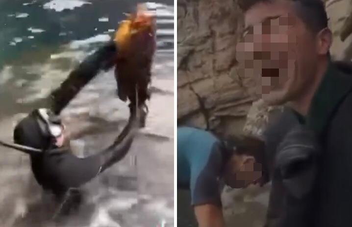 I due turisti che pescano cernie in area protetta, le rivendono illegalmente e mettono il video sui social article-post