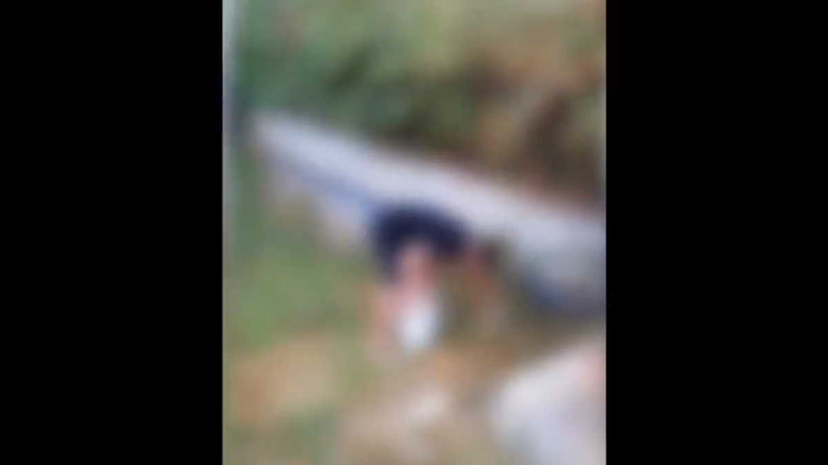 “Ti prendo a calci nel c…”: così il turista che getta rifiuti in Sardegna viene costretto a raccoglierli | VIDEO article-post