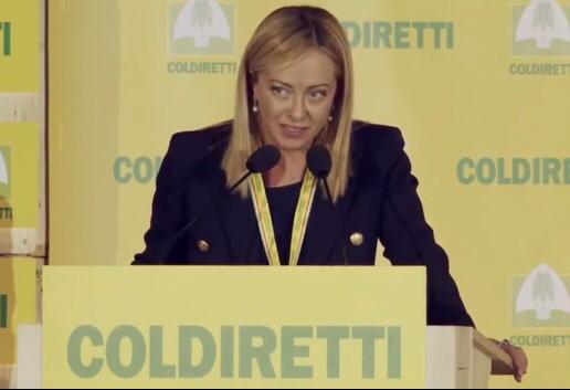 Come è andata la prima uscita pubblica di Giorgia Meloni: “Con Berlusconi incontro costruttivo” preview
