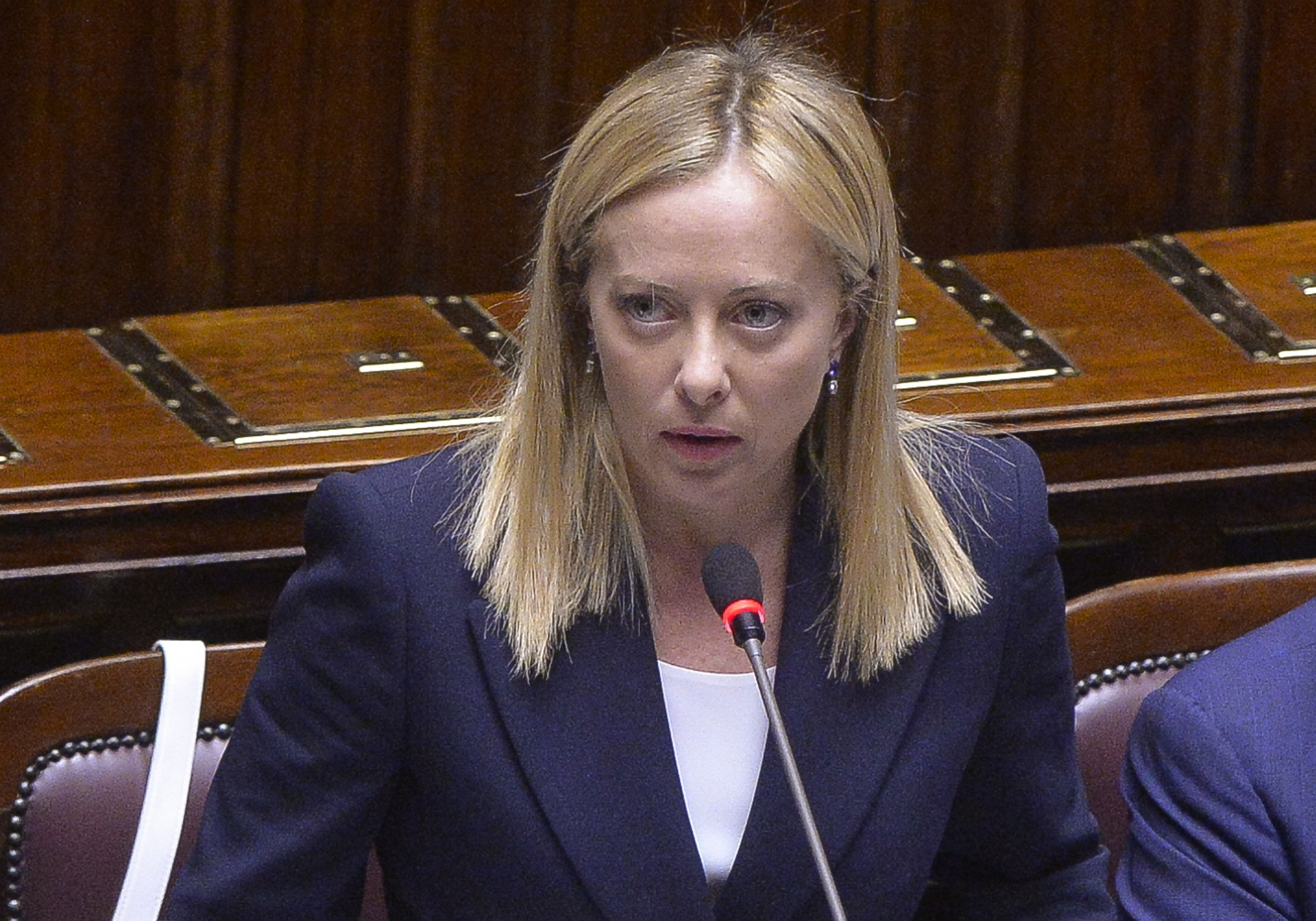 Minacce Meloni