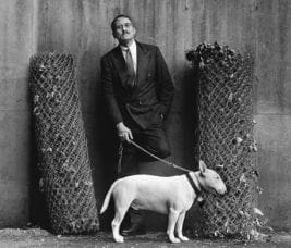 Perfidia: il pittbull del noir è tornato. article-post