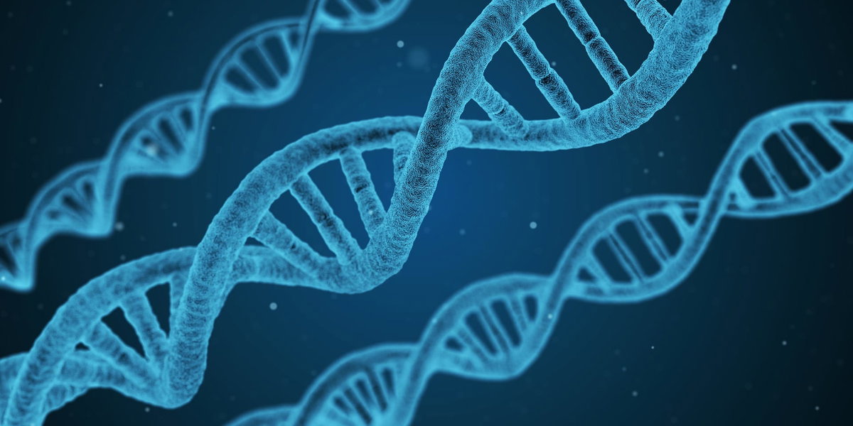 Il codice di autodistruzione delle cellule tumorali. article-post