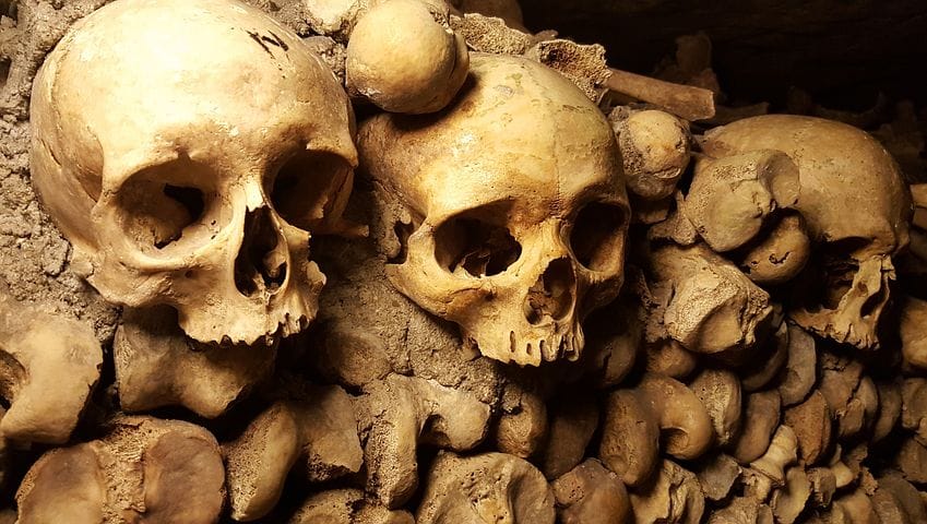 Gli “scheletri nell’armadio” Vaticano article-post
