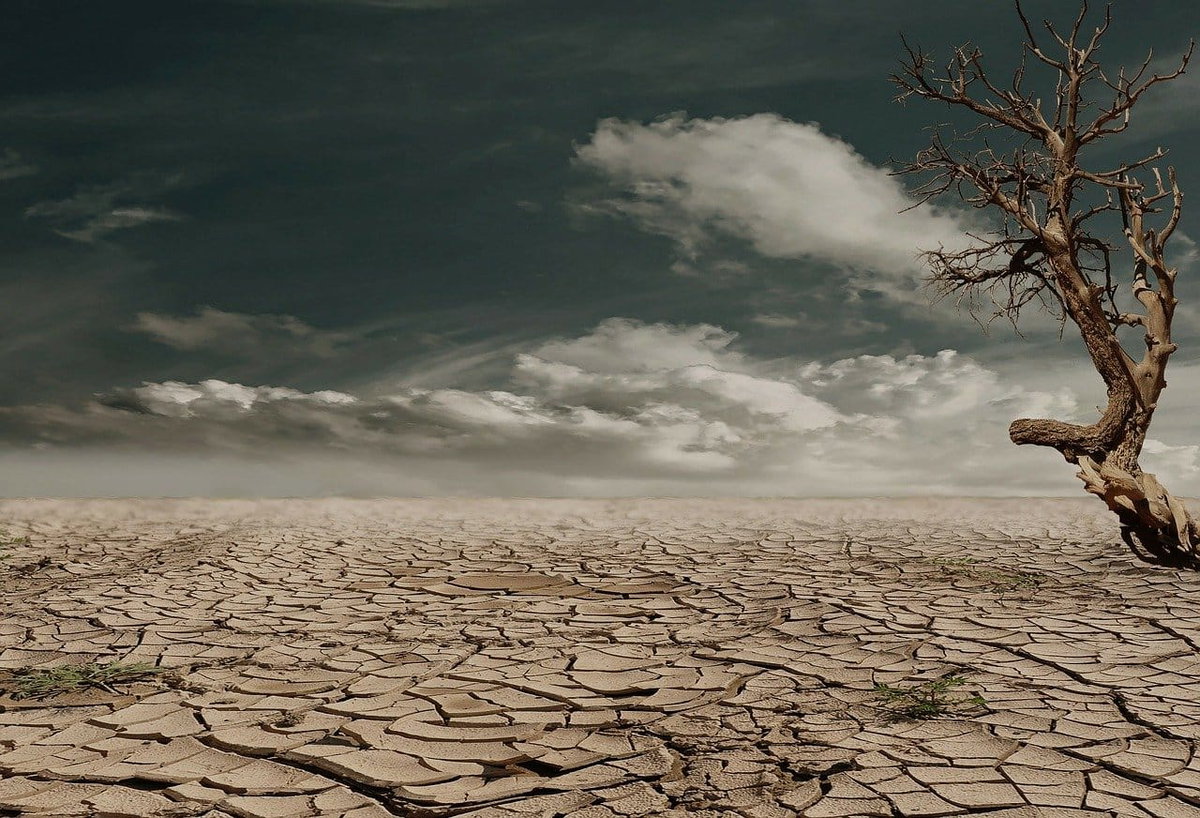 Climate Change: stiamo andando verso l’imprevedibile article-post