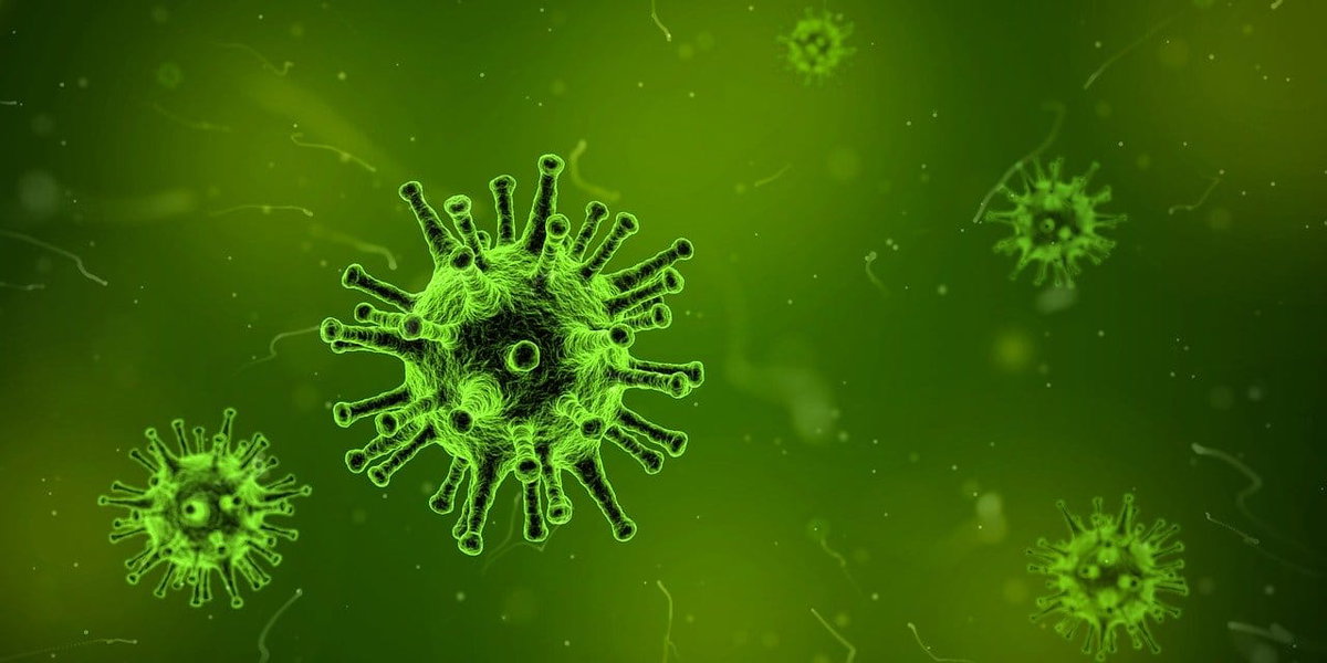 Tubercolosi a Torino: 250 persone potenzialmente infette article-post