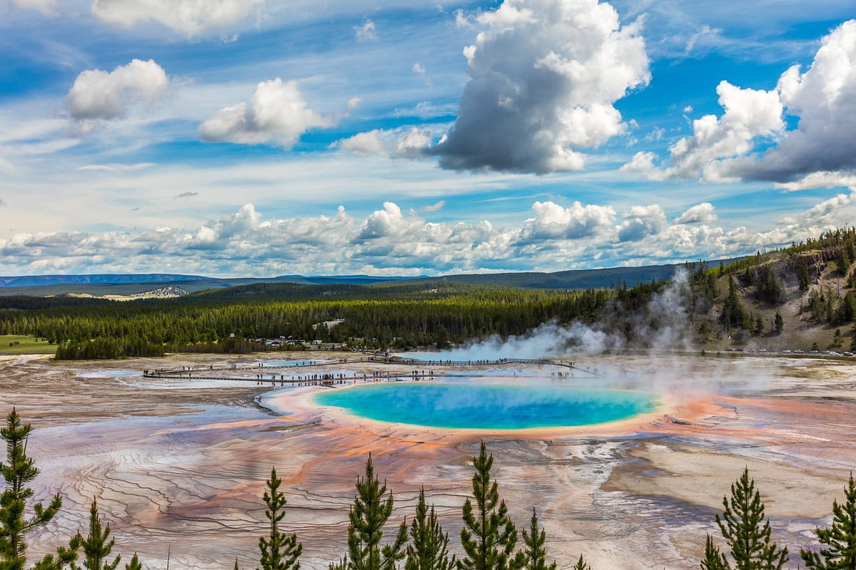Yellowstone : scoperta una nuova area termale nel Parco article-post