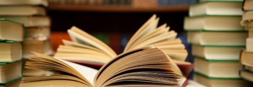 La cultura nasce dalla paura article-post