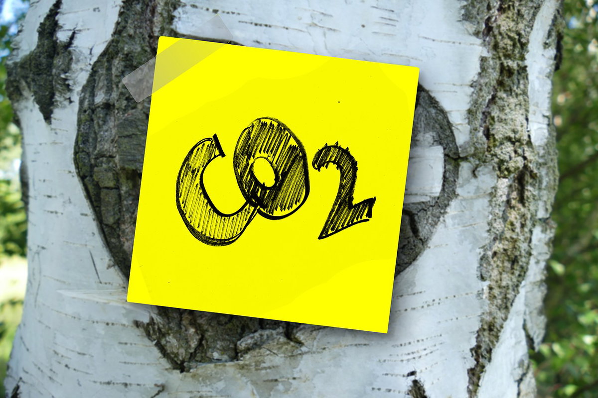 Ricercatore italiano guida lo studio di un catalizzatore che trasforma l’anidride carbonica in carburante article-post