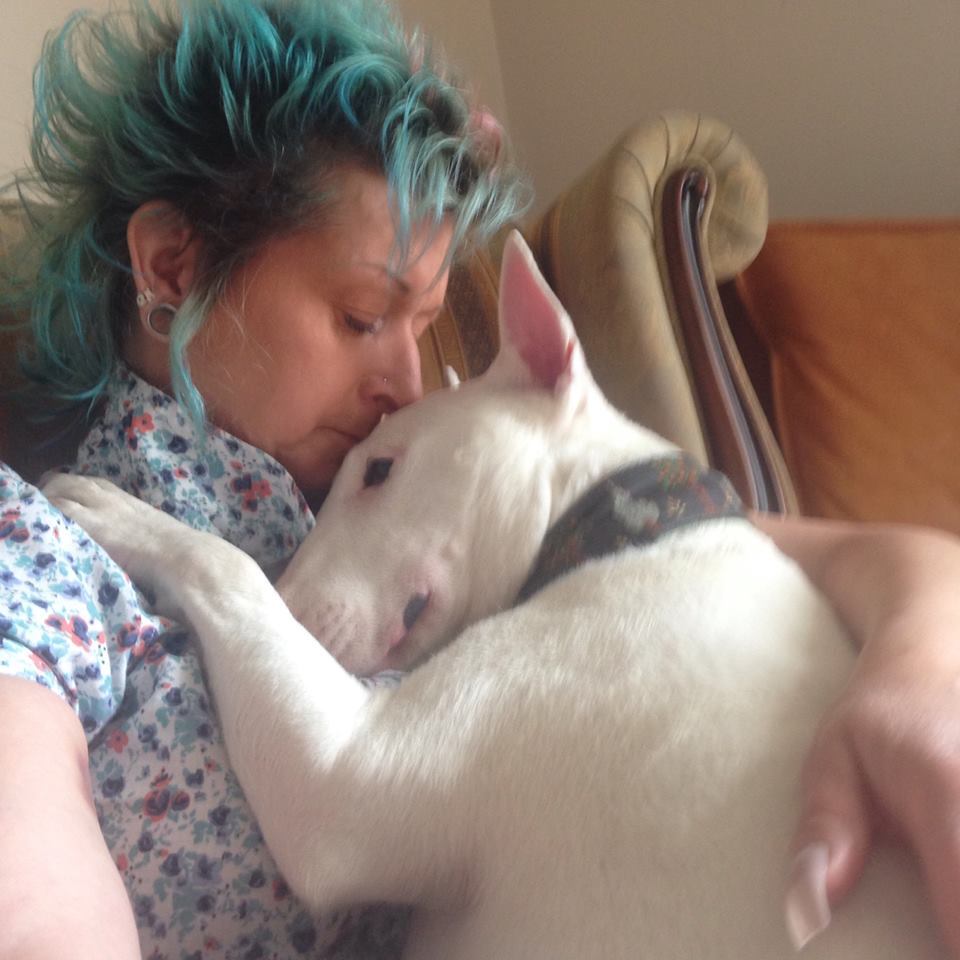 “O me o i tuoi cani”, donna sceglie gli animali article-post