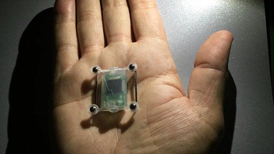 Cyborg Nest: la bussola integrata nel petto article-post