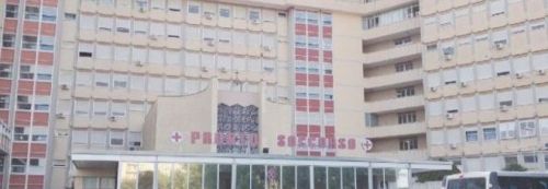 Amputata gamba a bimba azzannata da Pitbull article-post