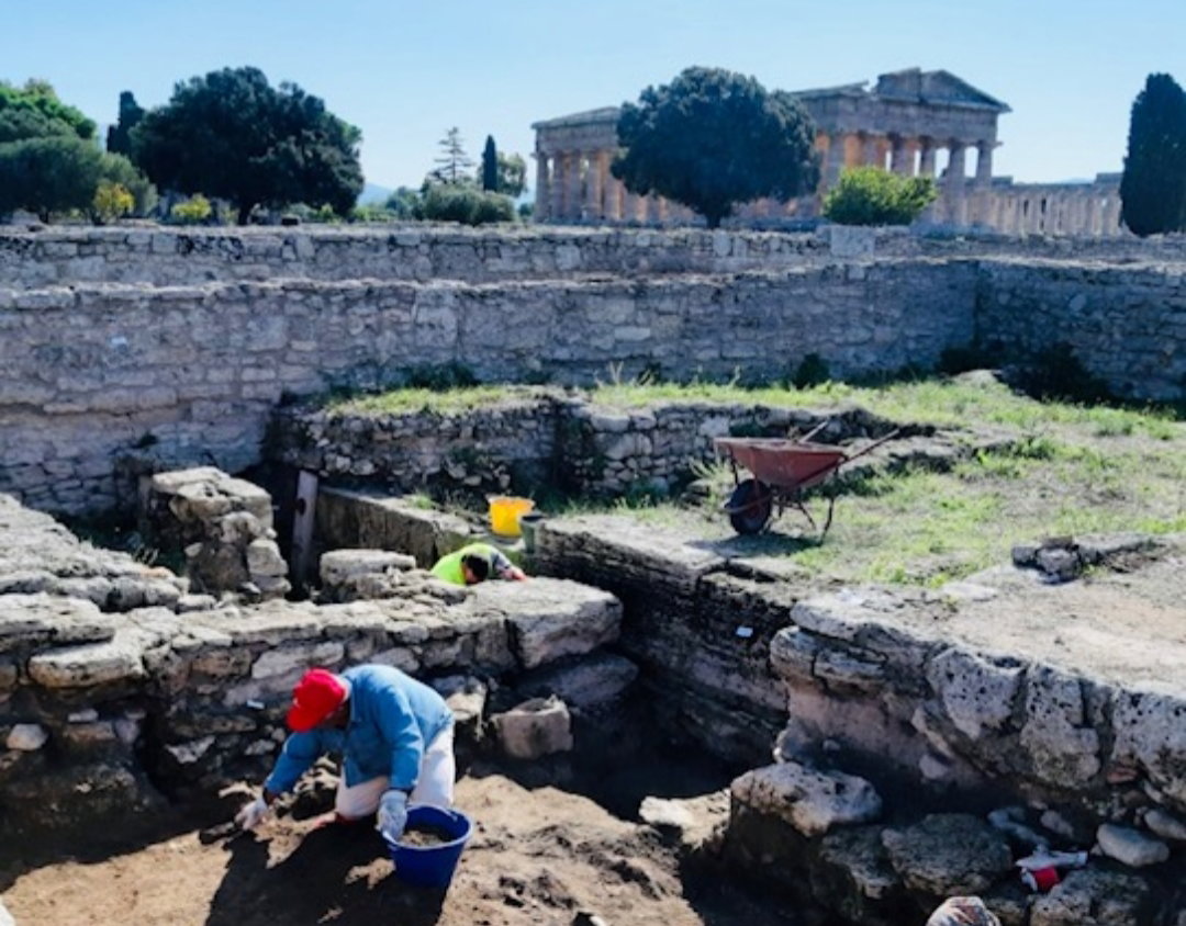 Paestum, ripartono gli scavi nel quartiere abitativo article-post
