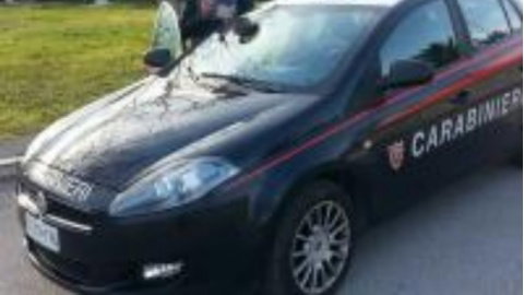 Ancona, neonata trovata morta tra i rifiuti article-post