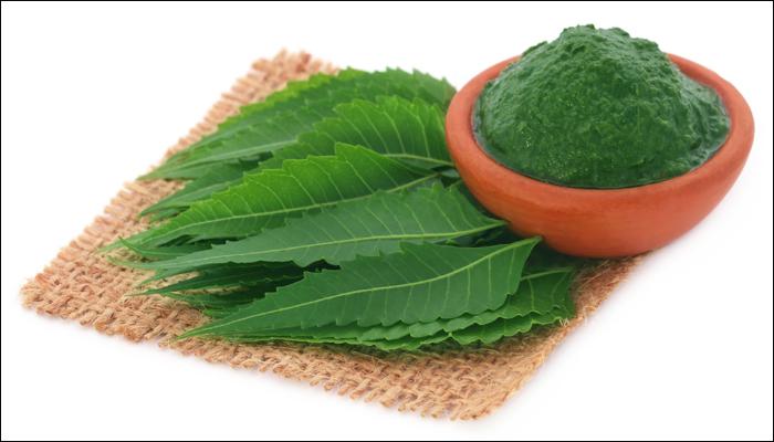 Neem, proprietà e utilizzi. article-post