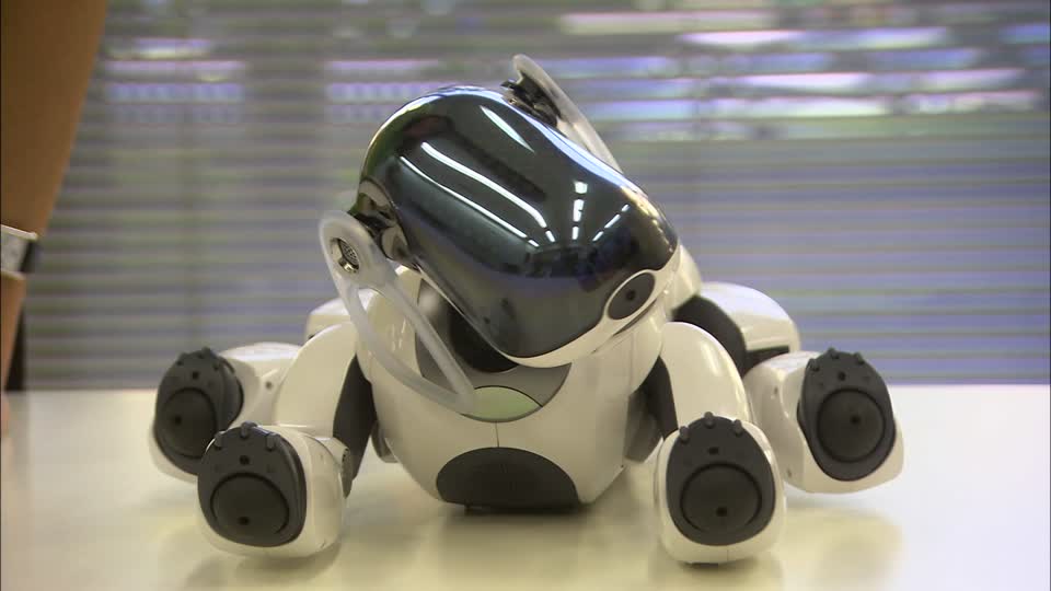 Intelligenza artificiale, iniziato l’addestramento per i cani-robot article-post
