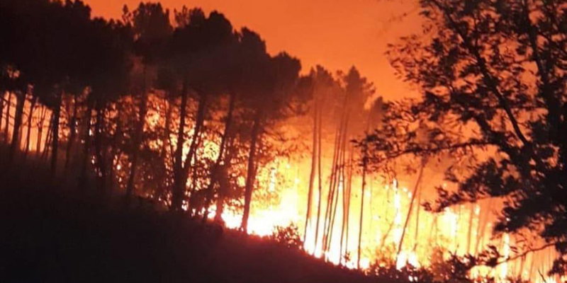 Terribile incendio a Pisa article-post