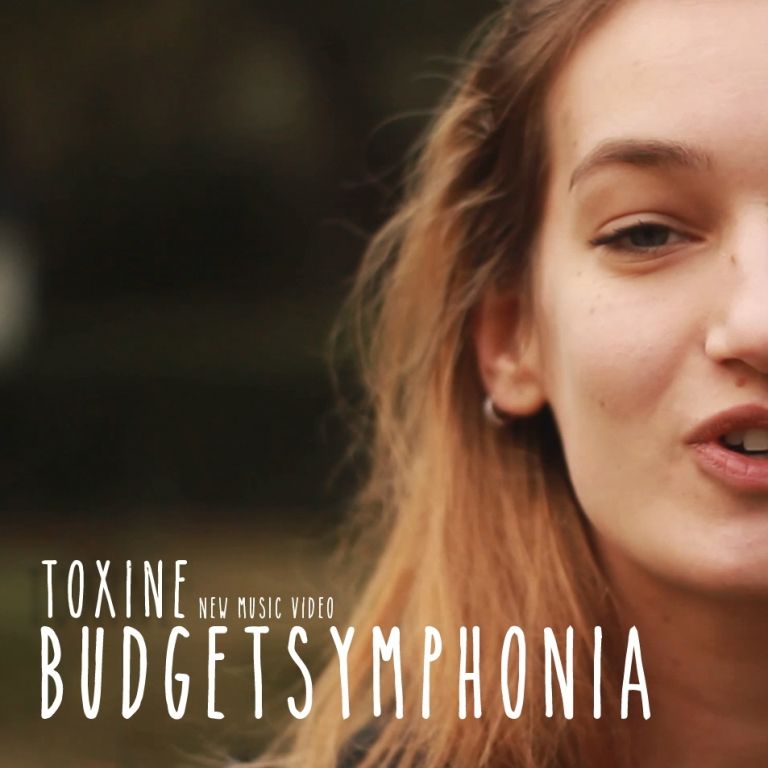 Budget symphonia, il nuovo singolo dei Toxine article-post