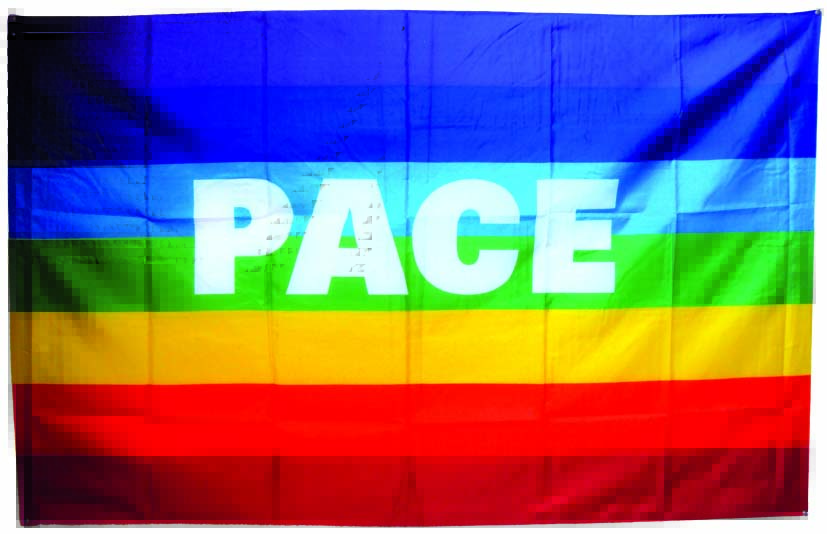 Violenza e Pace: due sentimenti contrapposti article-post