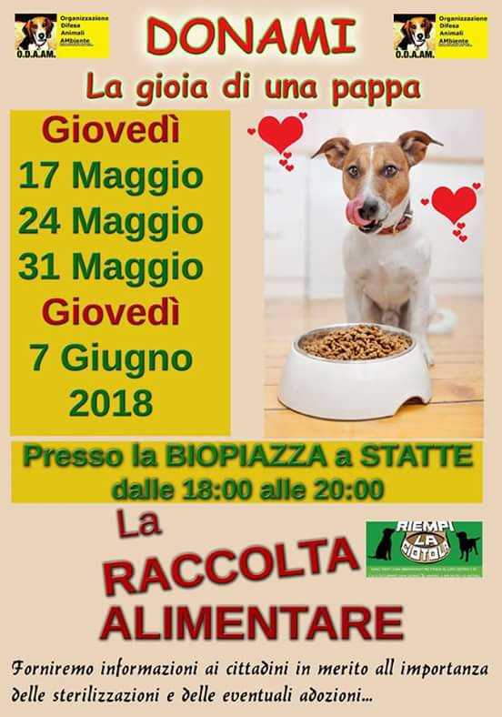 Statte – Adotta un cane, riduci la Tari e lotti contro il randagismo (Foto) article-post