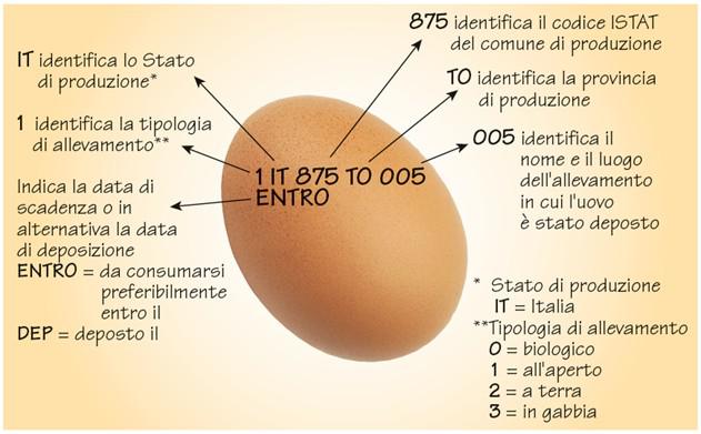 Come leggere l’etichetta delle uova article-post