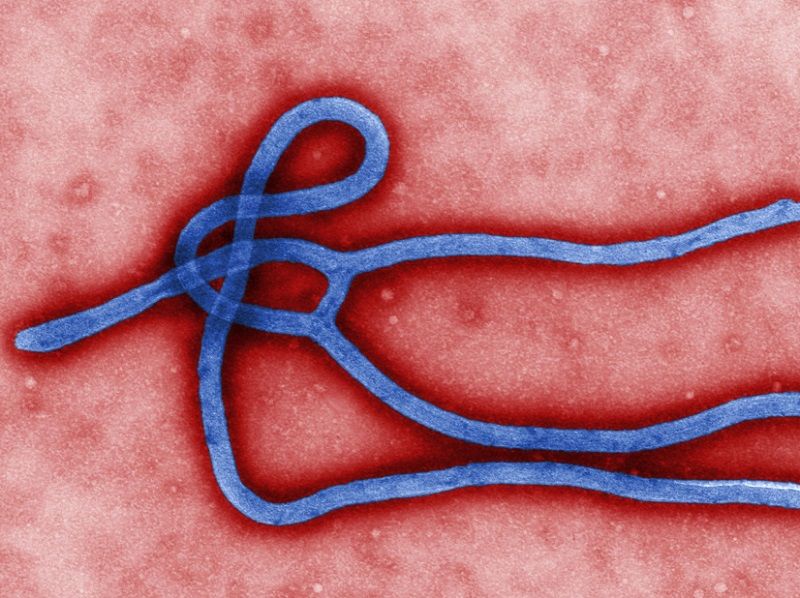 Ebola, sospetto caso in Italia: allarme rientrato article-post