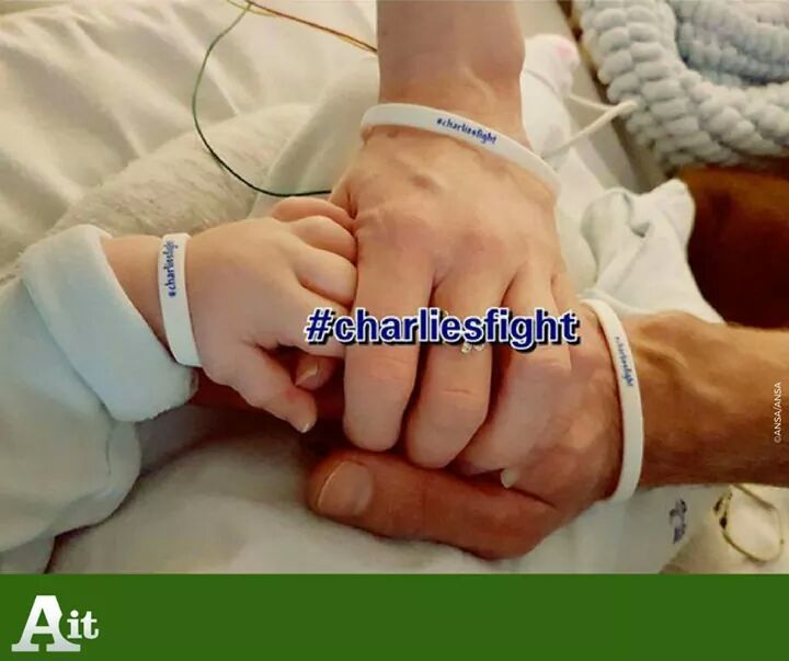 Charlie Gard é morto article-post