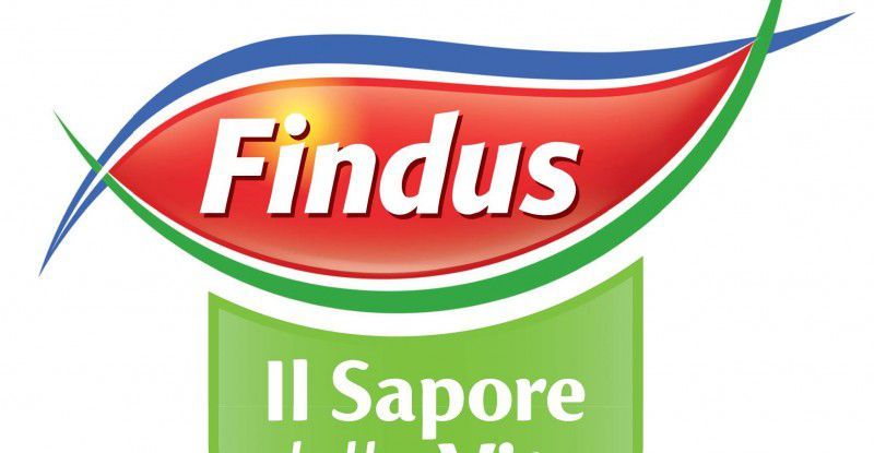 Findus: il primo spot gay article-post