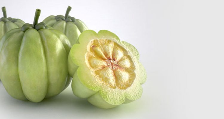 Garcinia Cambogia, usi, benefici e precauzioni article-post