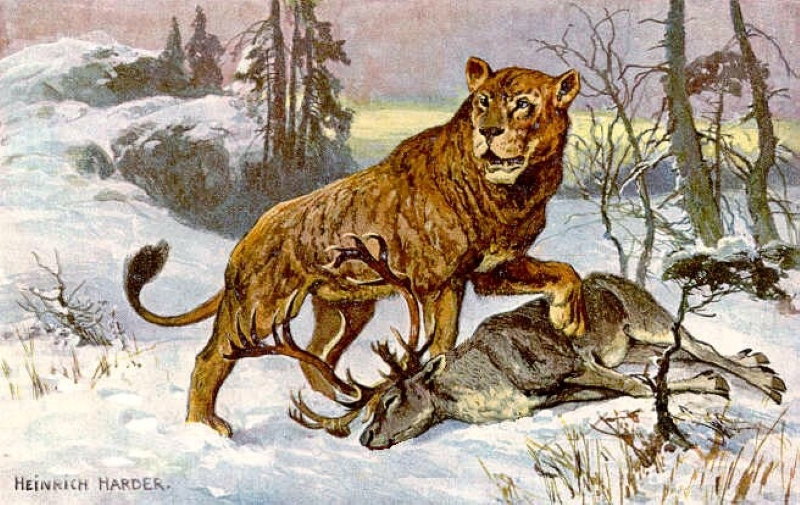 Boris e Sparta: i cuccioli di leone delle caverne conservati nel ghiaccio article-post