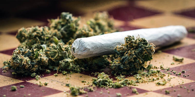 Boom aperture negozi di Cannabis in Italia article-post