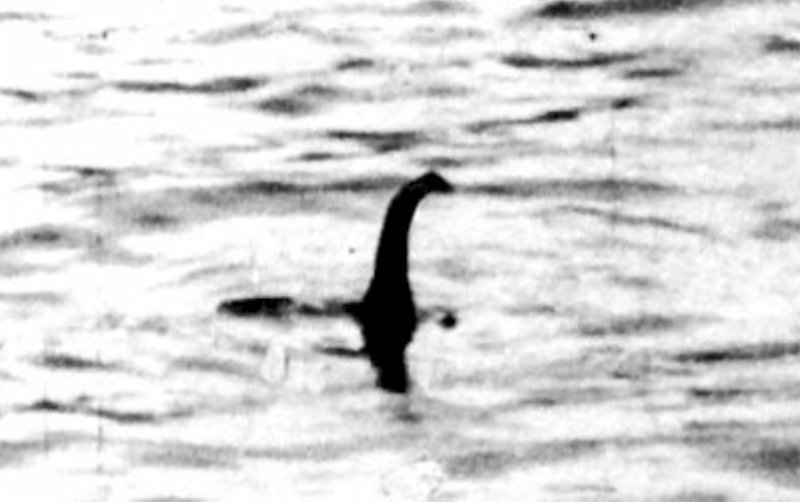 Loch Ness: e se il mostro fosse un’anguilla? article-post