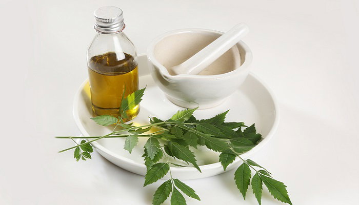 Olio di Neem, dieci modi di usarlo article-post