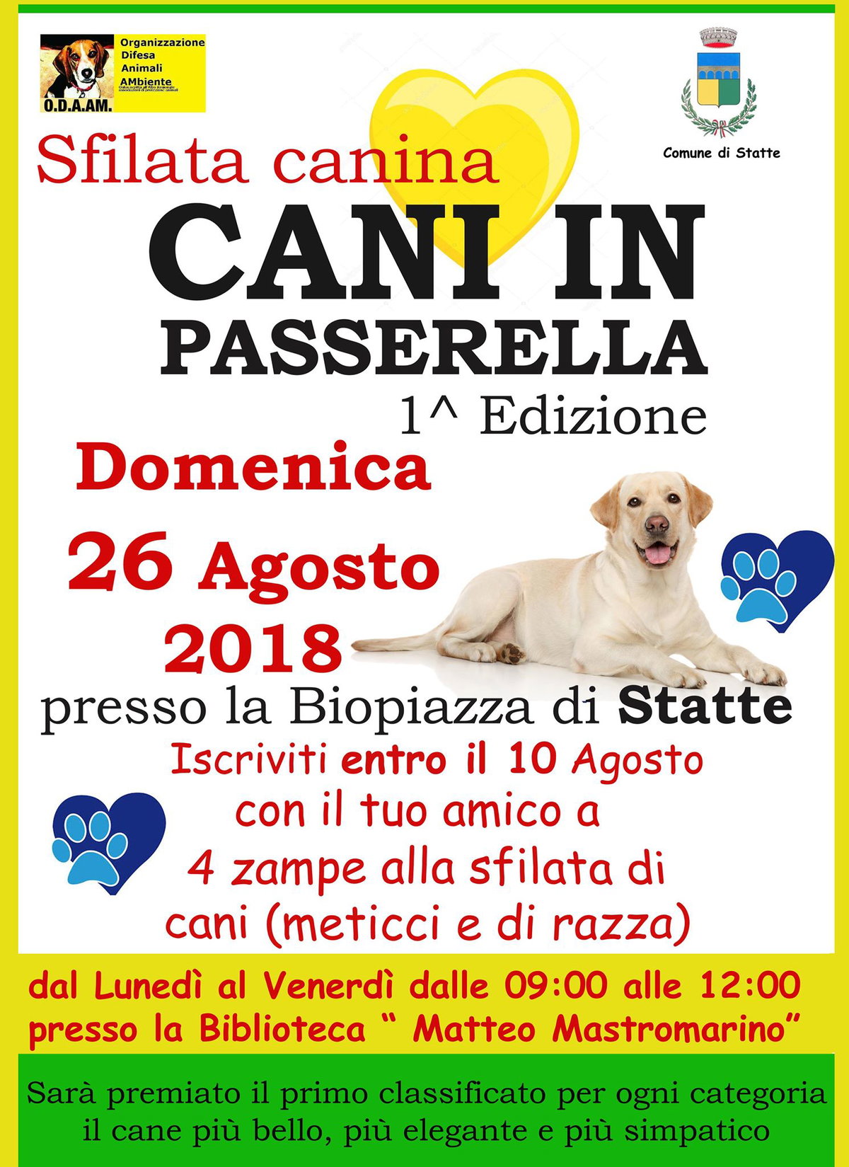 Statte – Presentato il Bilancio del cittadino article-post