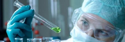 Uccidere le cellule tumorali? Spegnendo una proteina chiamata Lon article-post