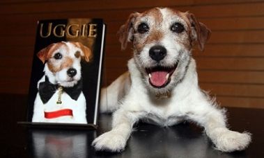 La morte del cane Uggie fa dimenticare le priorità degli italiani article-post
