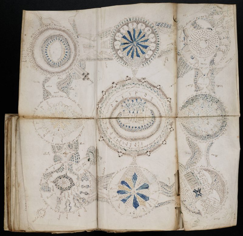 Voynich: decifrato il misterioso manoscritto? article-post