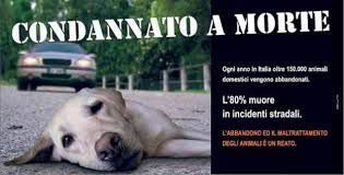 “Portiamoli con noi” parte così la campagna contro gli abbandoni dell’estate 2014 article-post