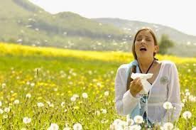 Allergie primaverili article-post