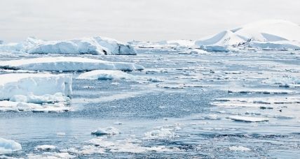 “Save the Arctic” con Greenpeace article-post