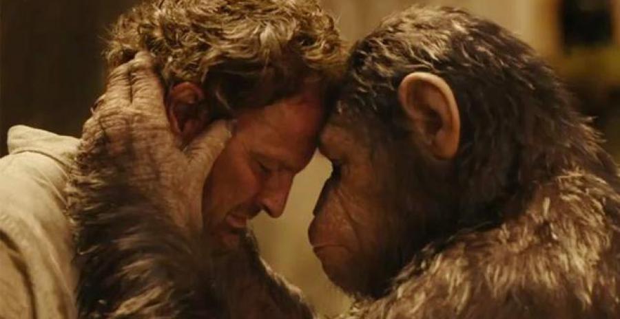Al cinema è “Apes Revolution”, l’attesissimo sequel de “L’alba del pianeta delle scimmie” article-post