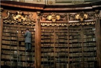 Operatore bibliotecario con esperienza di 2 anni article-post