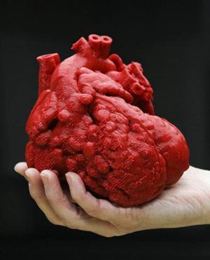 Cuore stampato in 3D: bimbo di 14 mesi salvo article-post