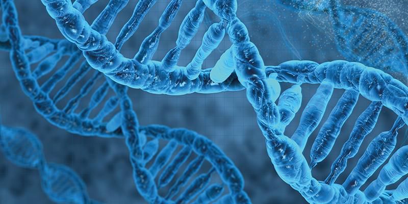 Come studiare al meglio la biologia in poco tempo article-post