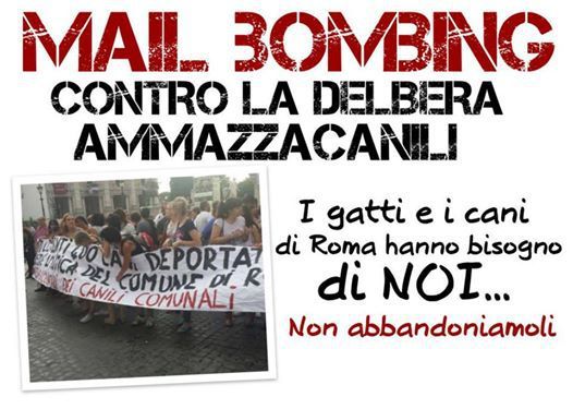 Mail Bombing delle associazioni animaliste: tutti insieme contro la delibera “Ammazzacanili” article-post