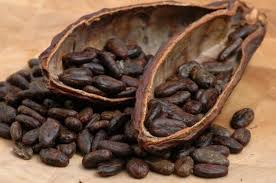 Il cacao aiuta a recuperare la memoria grazie ai flavanoli, nuovo studio americano article-post
