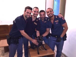 Palermo, la polizia salva un cane dall’annegamento article-post
